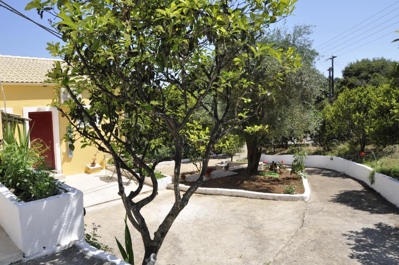 Braziliana Apartments Dassia  Luaran gambar
